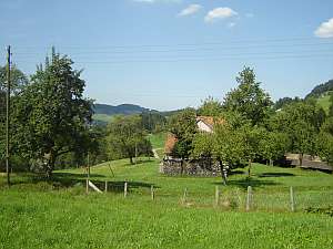 restaurant ostschweiz